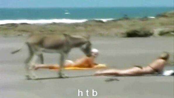 Bree Mitchells - vídeo pornô com coroas gostosas Não diga à mamãe